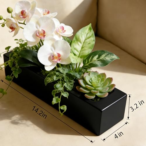 Oblong Faux Succulent Arrangement – Rectangular Planter for Indoor/Outdoor – Low-Maintenance, Weather-Resistant – Effortless Nature-Inspired Décor for Tabletops, Porches & Patios (Excludes Plants)
