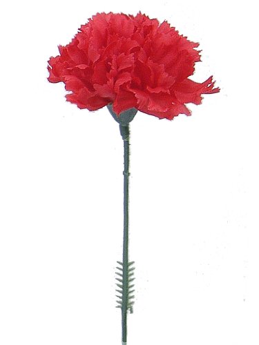 Larksilk 1000 Pack Artificial Carnations - Bulk Silk Flowers for Weddings, Mother's Day, Graduations, Easter & Memorial Day - 3.5" Heads, 5" Stems, Real Touch Petals, 18 Colors Available - Red - color: Red, size: 1000
