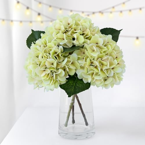 ZYTUYO 3PCS Ivory Green Hydrangea Artificial Flowers 20" Large Fake Latex Real Touch Hydrangeas Flowers with Stems Faux Silk Bouquet for Indoor Home Decor Table Wedding Party Floral Outdoor - color: Ivory Green