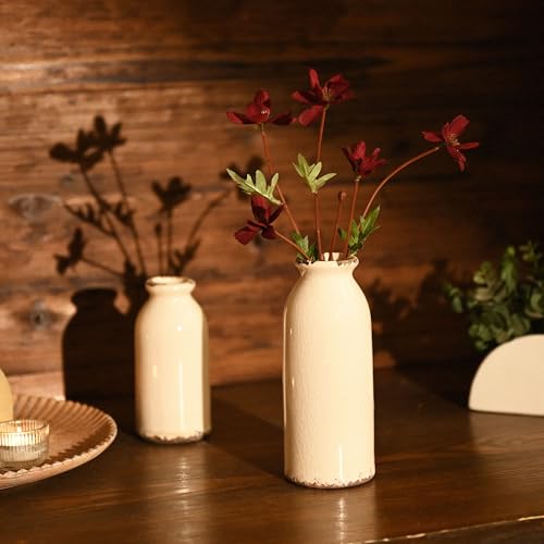 VICTOR & TERESA White Ceramic Vases Home Decor, Farmhouse Vase for Flowers, Flower Vase Set of 2, Rustic Decorative Vases for Pampas Grass, Table, Living Room, Shelf, Centerpieces, 8 inch - color: White