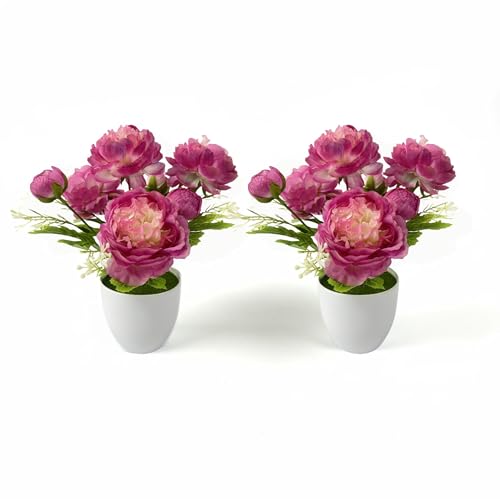 2 Packs Small Potted Silk Artificial Flowers, Fake Potted Ranunculus Plants for Spring Home Desk Decor Wedding Centerpiece, Indoor Faux Plants with Lightweight Pots (Rose Red) - color: Rose Red