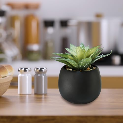 Winlyn Set of 3 Artificial Succulents Plants in Black Cement Planters Faux Potted Plants Aloe String of Pearls Donkey Tail Small House Plants 5" Tall for Table Shelf Home Office Bathroom Living Room - color: Black Cement Pots
