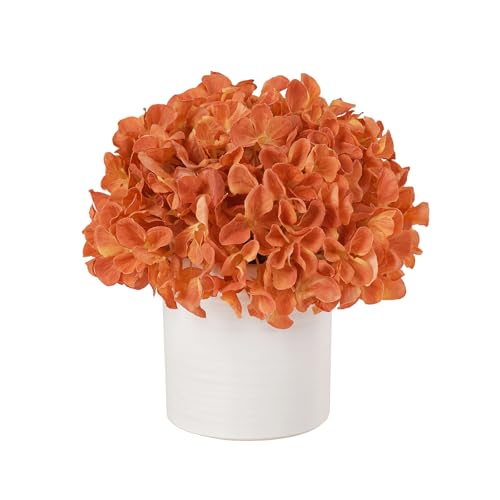 Artificial Hydrangea Flowers in Vase, Fake Flowers with White Ceramic Vase Small Faux Pot Floral Arrangement for Home Desktop plant Kitchen Bathroom Coffee Table Centerpiece Decor (Burnt Orange) - color: Hydrangea, Burnt Orange