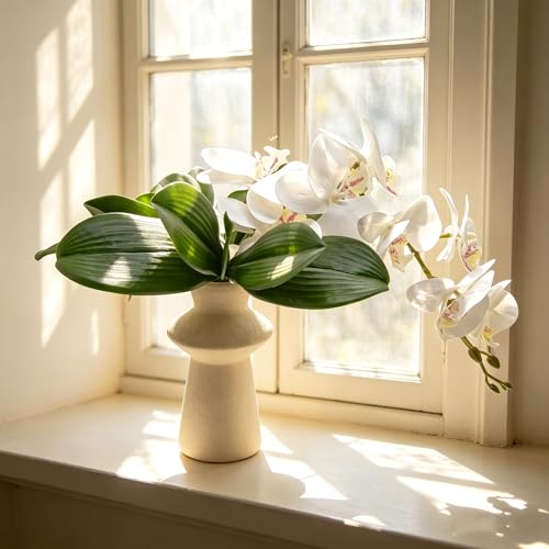 M2cbridge Artificial Green Orchid Leaves Phalaenopsis Stems Real Touch for Flowers Arrangements Pot Decor (9",10pcs) - color: 9",10pcs