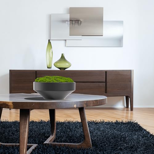 NAHARO New Moss Bowl, Handmade Ceramic. 11" Artificial Moss Bowl Centerpiece for Home Decoration, Living Room, Office - color: Black