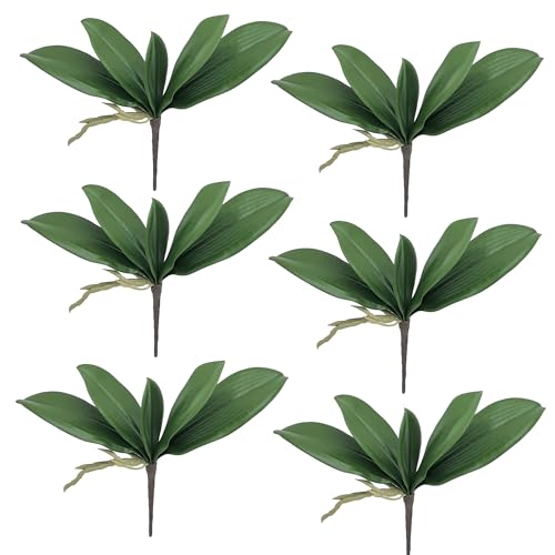 M2cbridge Artificial Green Orchid Leaves Phalaenopsis Stems Real Touch for Flowers Arrangements Pot Decor (9", 6pcs) - color: 9",6pcs