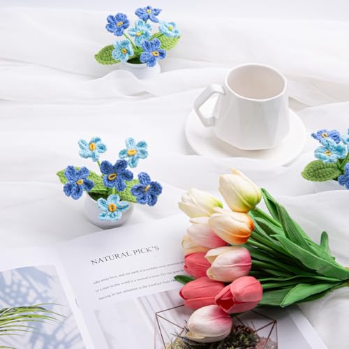 LAIDANLA Crochet Flowers Forget Me Not Gradient Blue Handmade Anniversary Graduation Appreciation Birthday Small Gifts for Women Crochet Flower Potted Plant for Desk Accessories - color: Ombre Blue