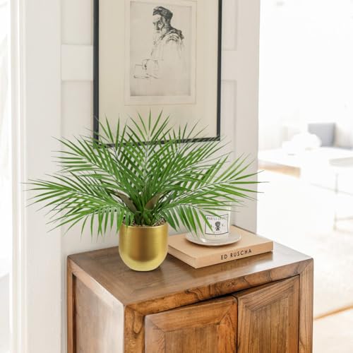 Briful Fake Plant 15.7’’ Artificial Palm Plant in Gold Pot Real Touch Faux Tropical Palm Tree Houseplant for Home Indoor Living Room Tabletop Balcony Decorations - color: 15.7'' Tall Gold