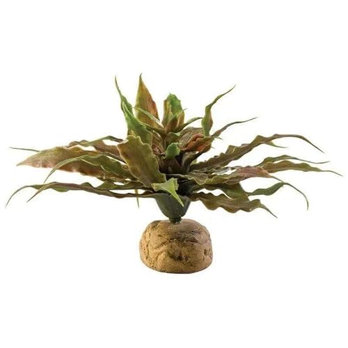 Exo Terra Star Cactus Terrarium Plant - size: One Size, style: Star Cactus
