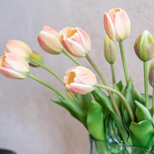 Artificial Tulips Flowers,Soft Touch Latex Bouquet, Fake Tulips,Spring Wedding Home Room Table Centerpiece Decor - color: 15pcs Champagne Set(no Vase)