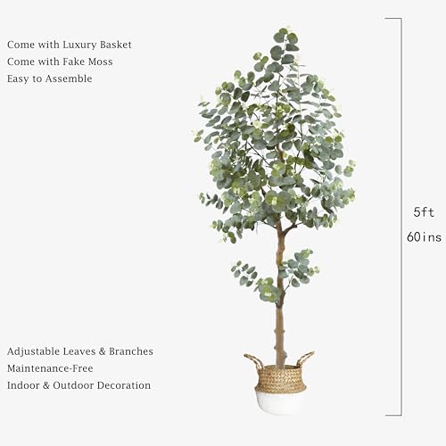 Artificial Eucalyptus Plant 5ft, Fake Tree with Basket, Faux Eucalyptus Plants with White Silver Dollar Leaves, Faux Floor Trees for Home Office Decor Indoor Outdoor - color: Eucalyptus, size: 5ft