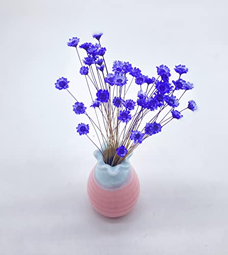 100 Stems Natural Dry Flowers Brazilian Small Star Daisy Decorative Dried Flowers Mini Daisy Chamomile Bouquet for Wedding Floral Arrangements Home Decorations (Light Purple) - color: Light Purple
