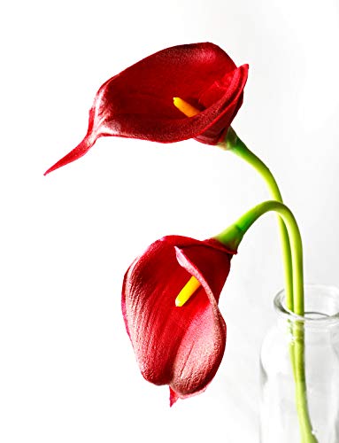 DuHouse 20Pcs Artificial Calla Lily Flower Real Touch Latex Flowers for DIY Wedding Bouquet Party Home Decor (Burgundy) - color: Burgundy, size: 20pcs