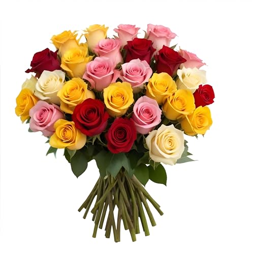 Pre-Book 50 Rainbow Roses Assorted Mixed Color | Bulk Roses by Arabella Bouquets | Real Fresh Flowers for Delivery, Gift for Birthday, Women, Congratulations, Anniversary, Mother's Day - color: Assorted, size: 50 Stems
