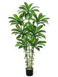 Dolicer 6FT Tall Look Real Artificial Dracaena Tree Indoor with Black Planter, Realistic Artificial Fake Faux Indoor Plants with Natural Trunk and Lifelike Leaves for Home Office Living Room - size: 6FT