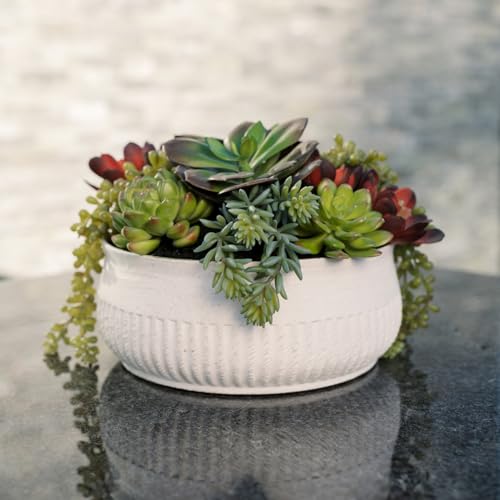 Round Faux Succulent Arrangement, 12" Premium Artificial Indoor Plant Enhances Interior Design, Display on any Surface in Your Home Adding an Inviting Touch of Nature, White Planter Pot Included - size: 12" Round White Planter