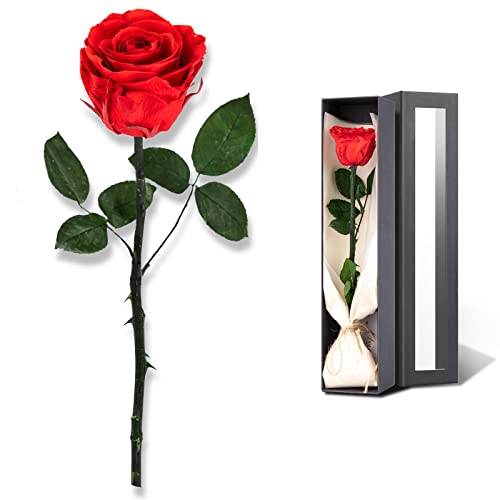 Flowers for Delivery Prime, Preserved Roses Flower Gifts for Women, Real Roses Single Rose Presents for Her, Mom Birthday Gifts from Daughter, Valentines Flowers Red Roses - color: 00-red