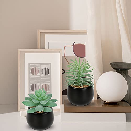 Briful 3PCS Artificial Succulents Fake Plants Mini Succulents Potted in Black Ceramic Pots Artificial Plastic Plants for Home Office Desk Farmhouse Bathroom Décor - color: Type #2