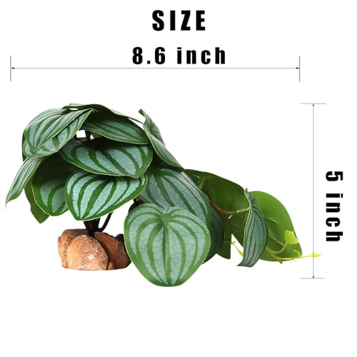 Reptile Plants for Terrarium, Ball Python Tank Decor Accessories fit Bearded Dragon Crested Leopard Gecko Lizard Chameleon Snake Frog Tortoise Hermit Crab - Fake Calathea Orbifolia - color: G-fake Calathea Orbifolia