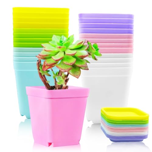 Haawooky 24 Pack Colorful Flower Pots Square Plastic Plant Pots Succulent Planter Nursery Pots with Saucers for Your Room,Garden Office and Balcony Decor - size: 24 pack