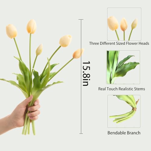 15 pcs Cream Tulips Artificial Flowers Faux Tulips Real Touch Latex Fake Flower Bouquet for Spring Wedding Home Décor Centerpiece Arrangements - color: Cream