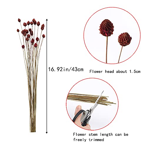 30 Pcs Dried Flowers Bouquet Bulk Mini Billy Ball Flowers Pine Cone Flowers Natural Dried Flowers for Vase Handmade Fake Flowers for Home Indoor Kitchen Office DIY Wedding Table Decor (16.9") - color: 30pcs