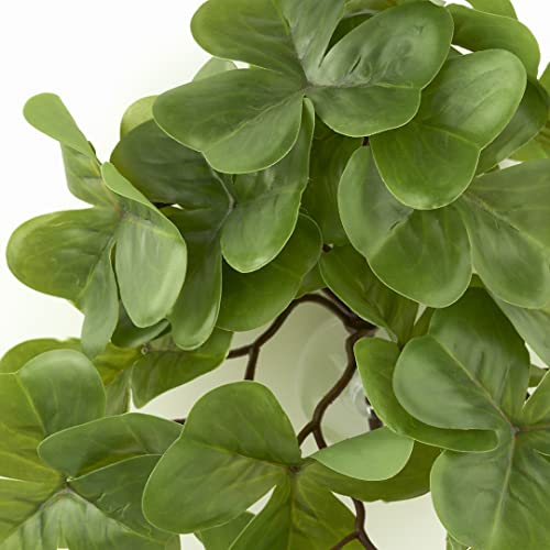 Reptile Plants for Terrarium, Amphibian Habitat Decor Artificial Hanging Plants with Suction Cup - Fake Shamrock - color: Fake Shamrock