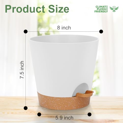 YNNICO 8-Inch Plant Pots, Self-Watering Planters with Drainage Holes & Saucers for Indoor and Outdoor Plants (2-Pack, White) - color: White, size: 8 inch
