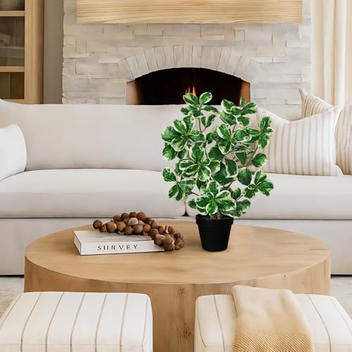 20" Artificial Rubber Tree Plant in Black Pot, Faux Ficus Tree Plant Potted with Cream White Edge Leaves, Fake Greenery Plant for Home Office Tropical Decor - size: 20" & Large