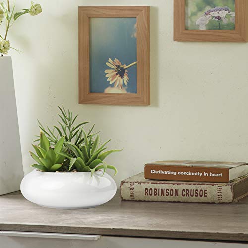 Hollyone Large Artificial Succulents Plants Faux Succulents in Pots Fake Succulent Plastic Potted Plants with White Ceramic Pot for Home Decor Office Desk Bathroom Shelf Living Room Decoration - color: 1pack - White Ceramic
