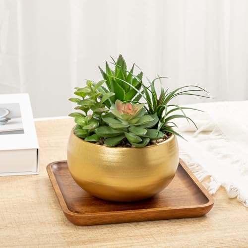 Briful Fake Succulents in Gold Metal Pot, Artificial Succulent Plants Arrangement for Home Decor, Small Faux Potted Plants Tabletop Centerpiece, Desk Office Bathroom Shelf Decorations - color: Gold#2