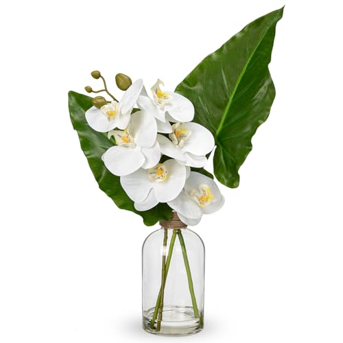 GnFlus Fake Plant and Faux Orchids in Glass Vase, 15.4" Realistic Faux Tropical Plants Artificial Orchids with Fake Water for Home Farmhouse Office Centerpiece Bathroom Kitchen Counter Décor - color: Alocasia + Orchids