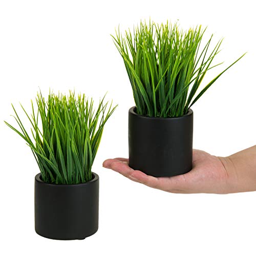 MyGift Tabletop Artificial Grass Plants Decorative Faux Greenery Plant Potted in Modern Cylindrical Black Cement Pots, Set of 2 - color: Black (Round)