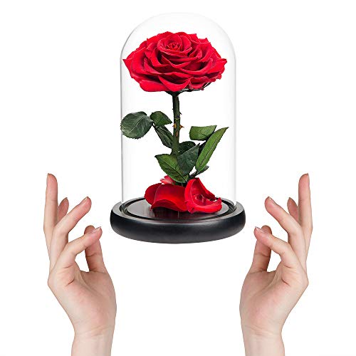 Red Roses Handmade Rose in Glass Dome, Preserved Flowers Never Withered Romantic Gifts for Her, Mother's Day, Birthday Gifts for Women - color: Red, size: Large