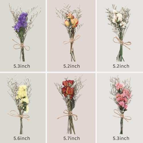 12/24 Pack Dried Flowers for Vase Various Mini Bouquet Dried Small Wildflowers Natural Real Flowers Bulk for Crafts DIY Wedding Decor (12, Forget Me Not) - size: Forget Me Not