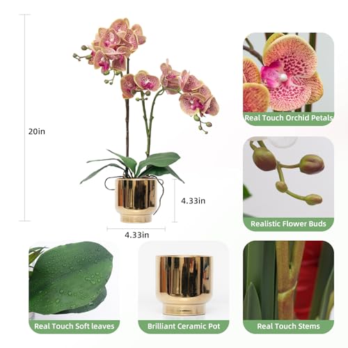 CXGS Orchids Artificial Flowers Real Touch Fake Flowers in Ceramic Pot 20" Purple Dapple Faux Orchid Plant Lifelike Silk Phalaenopsis for Centerpiece Hotel Home Indoor Decor - color: Purple Dapple- Gold Vase