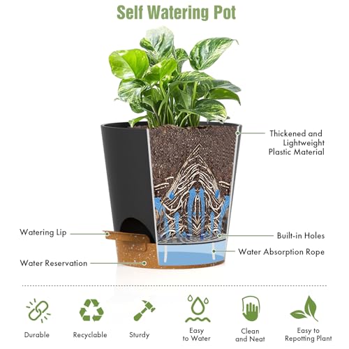WSMKSZ 4 inch Self Watering Pots for Indoor Outdoor Plants, 6 Pack Plastic Flower Planters with Drainage Holes and Removable Saucers, Plant Pots with Wicking Rope, Modern Decor, Black Brown - color: Black Brown, size: 4inch 6pcs