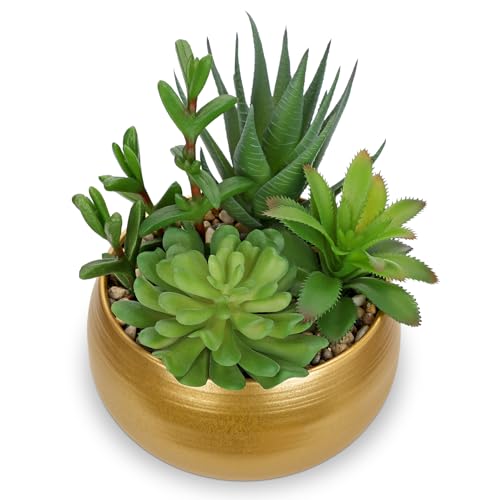 Hollyone Fake Plants Artificial Succulents in Pots Faux Succulent Arrangement Potted Plant with Gold Ceramic Planter Bowl for Home Decor Office Desk Bathroom Shelf Living Room Indoor Decorations - color: Matte Gold