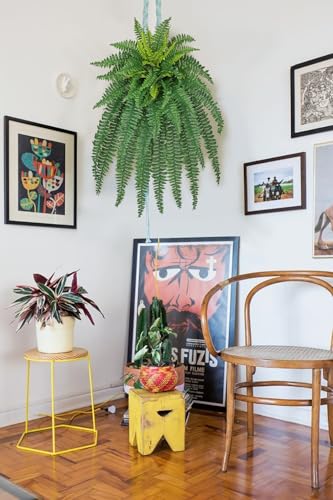 GnFlus Artificial Boston Fern 35 Inch Faux Fern with 50 Fronds, Realistic Ferns Artificial Plants Large Silk Fern Bush for Outdoor Indoor Hanging Planter, Porch Patio Home Farmhouse Garden Decor - size: 50 fronds