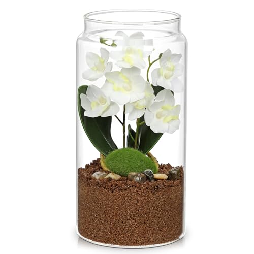 White Orchids Artificial Flowers with Vase, Small Faux Orchid Arrangement Fake Orchids Plant in Terrarium Jar Small White Orchid Centerpieces for Kitchen Dining Room Tables Bathroom Nightstand Decor - color: White + Brown Sand