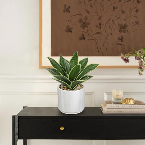 Artificial Agave Succulent Plants Faux Snake Plant Fake Succulent Agave Plants Potted in White Pot Succulent Aloe Plant for Desk Modern Office Living Room Table Shelf Home Indoor Outdoor Decor - color: Style 2