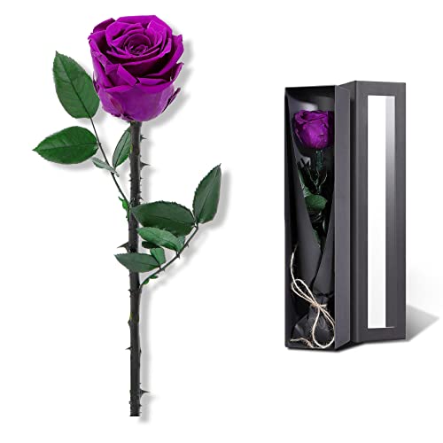 Purple Flowers for Delivery Prime, Preserved Purple Roses Flower Gifts for Women, Real Roses Single Rose Gifts for Her, Mom Birthday Gifts from Daughter, Valentines Flowers - color: 06-purple