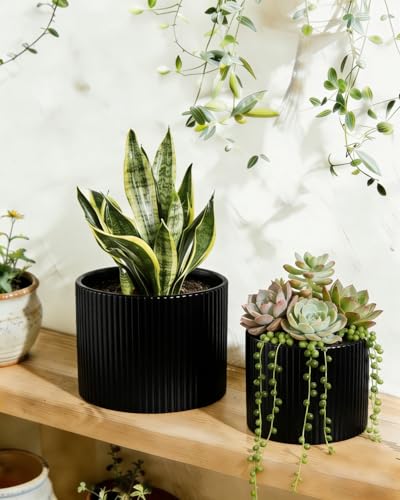 Matte Black Ceramic Plant Pots, 8.1 + 6 Inch Planters for Indoor Plants, Modern Flower Pots with Drainage, Two-Sizes Set - color: Matte Black2
