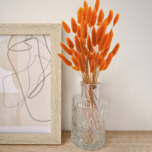 Uieke 120 Pcs Natural Bunny Tails Dried Flowers, 17’’ Dried Lagurus Ovatus, Orange Fall Dried Flowers for Fall Floral Arrangements Wedding Centerpieces Home Baby Shower Party Decorations - color: Orange-120pcs