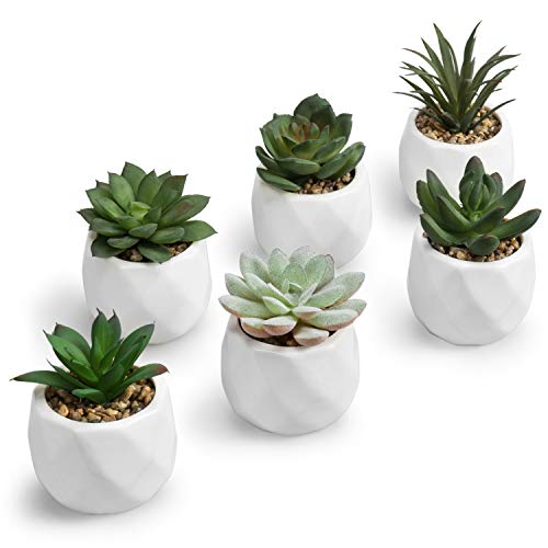 MyGift Mini Assorted Green Faux Succulent, Indoor Fake Plants in Geometric Ceramic Pots, Set of 6 - color: White (Set of 6)