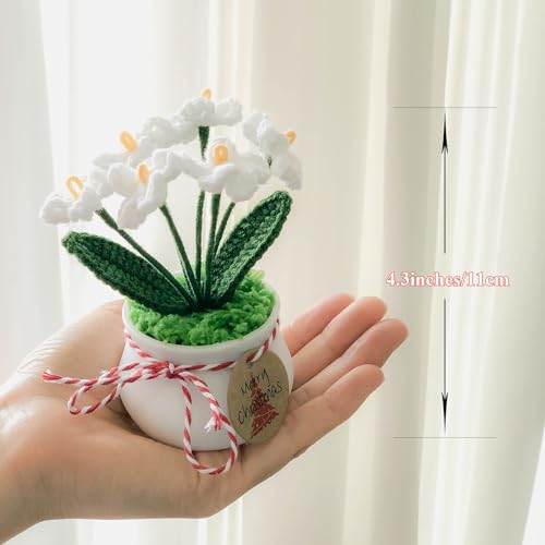 Joekaran Crochet Flowers Cute Little Potted Flower, Gift for Birthday, Mother's Day, Teacher’s Day, Graduation, Anniversary, Decor for Car Dashboard,Home Office Decoration (White Myosotis) - color: White Myosotis