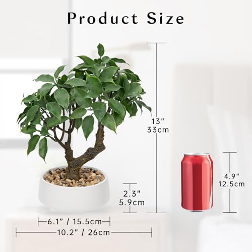 Artificial Bonsai Tree, Small Ficus Bonsai Tree 13" Indoor Bonsai Tree | Fake Potted Plant Decorative Fake Desk Plant Decor with Ceramic Pot for Home Office Living Room Bathroom Table Shelf - color: Green Ficus&white Pot