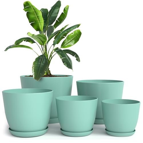 Utopia Home - Plant Pots Indoor with Drainage - 7/6.6/6/5.3/4.8 Inches Flower Pots for Indoor Planter - 5 Pack Plastic Planters - Ideal for Stocking Stuffers or Home Christmas Decorations - Aqua - color: Aqua, size: Pack of 5