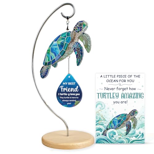 Mini Funny Turtle Best Friend Friendship Gifts for Women Men - Christmas Birthday Gifts Ideas for Friends Female Male - Positive Friendship Gift for Best Friend Birthday Valentines Day or Christmas - color: 11 - Friend Turtle
