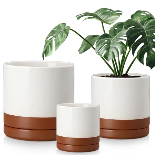 vancasso Ceramic Pots for Plants, Plant Pots for Indoor Plants, 6.25+8.25+10.25 Inch Ceramic Planters, Flower Pots with Drainage Holes, Planters Pot for Indoor House Plant, Set of 3, Khaki - color: Reactive Glaze White, size: 6.25 + 8.25 + 10.25 Inch